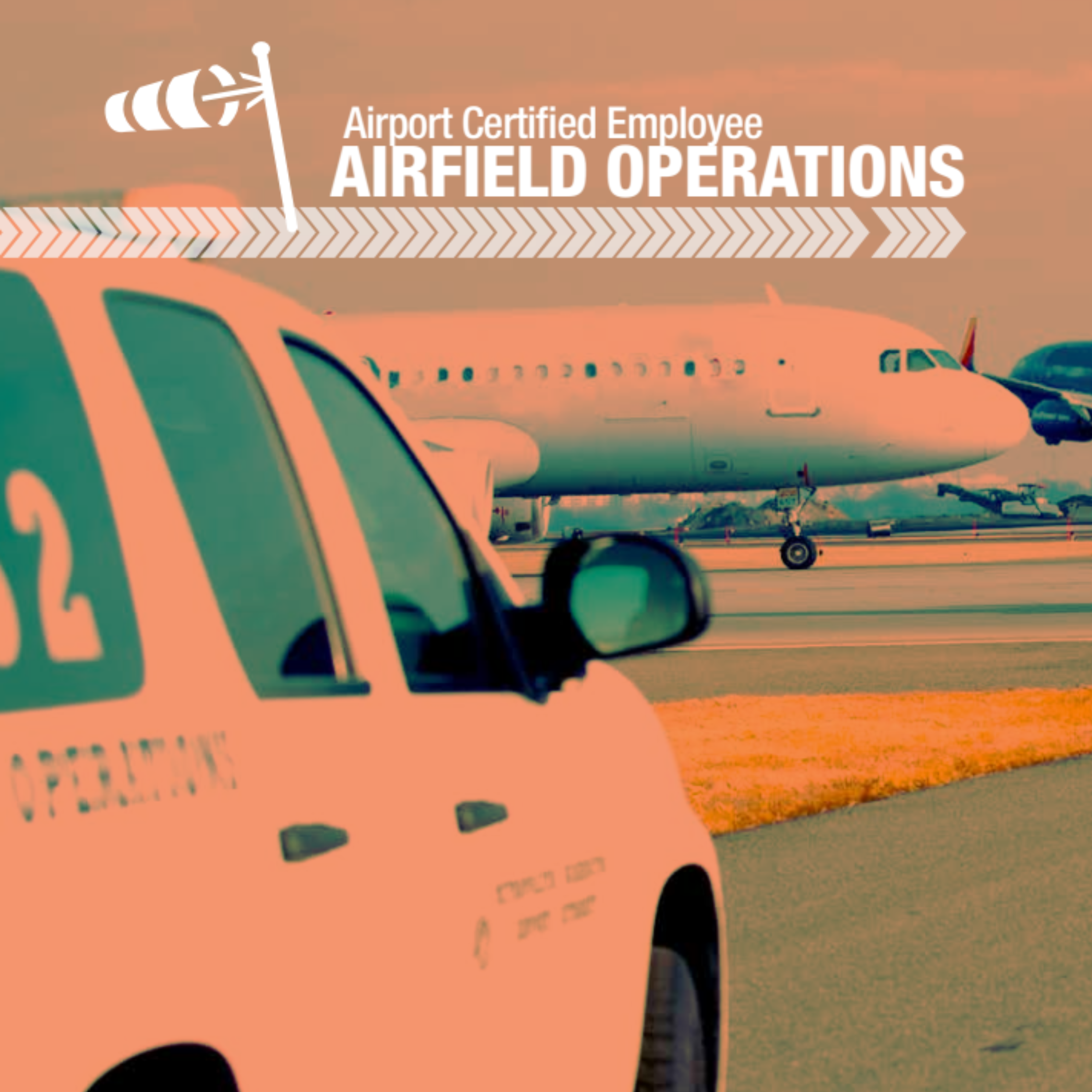 ACE Operations – Module 2  (Part 1 - FAR Part 139 Subpart D – Operations, Records, Personnel, Paved areas, Unpaved Areas, Safety Areas, Markings, Signs, and Lighting, Snow and Ice Control)