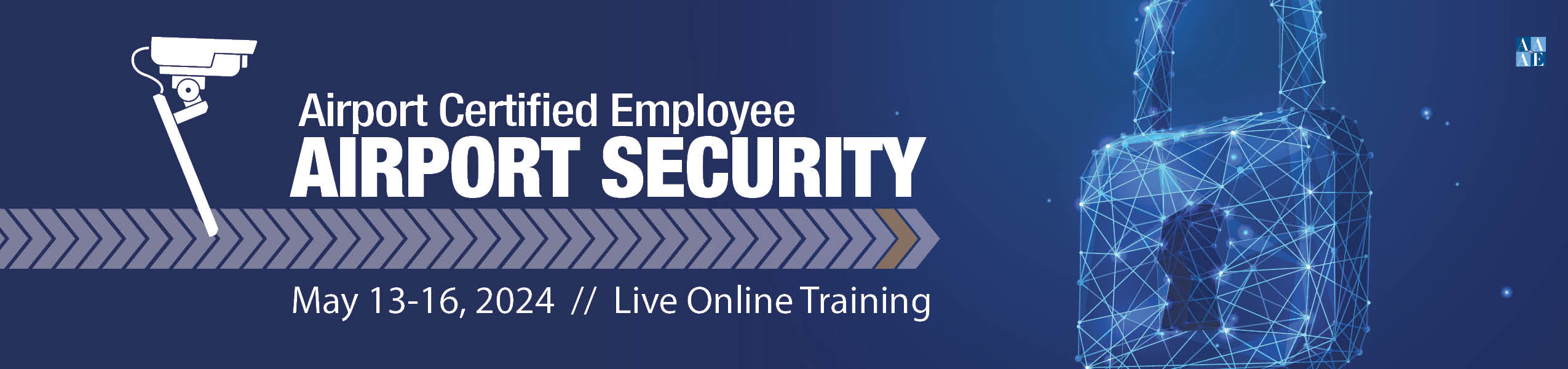 ACE Security Virtual Review Course